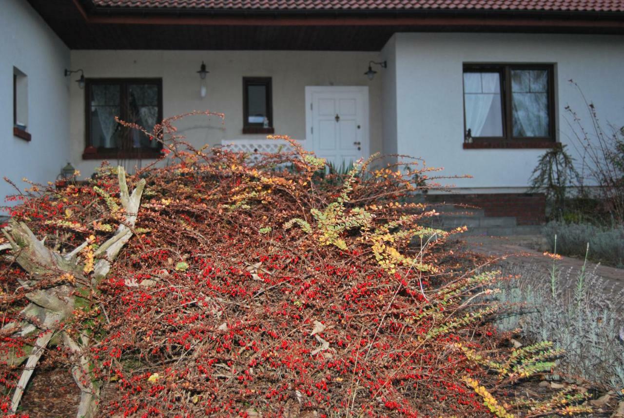 Pokoje Nad Mlynem Stryków Exterior foto